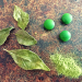 Eisenmangel, Chlorella, Curryblatt, Gerstengraspulver, Nahrungsergänzungsmittel